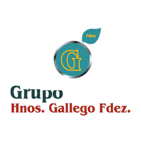 grupo gallego